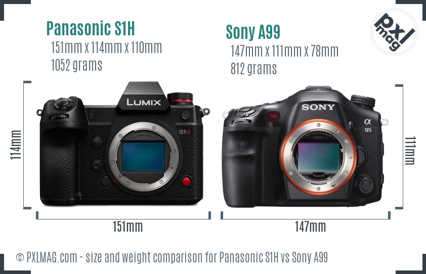 Panasonic S1H vs Sony A99 size comparison