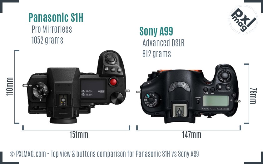 Panasonic S1H vs Sony A99 top view buttons comparison