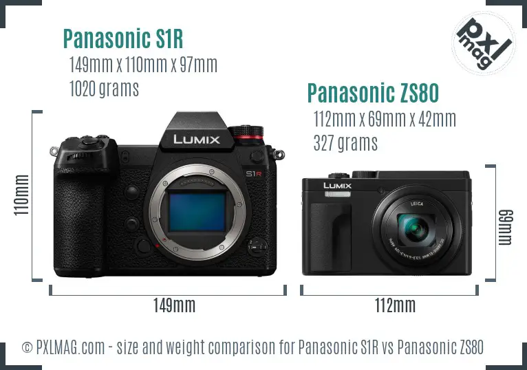 Panasonic S1R vs Panasonic ZS80 size comparison