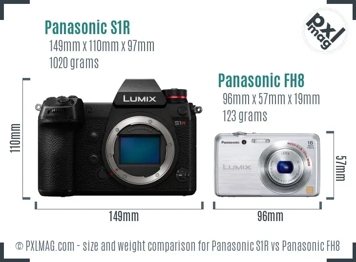 Panasonic S1R vs Panasonic FH8 size comparison