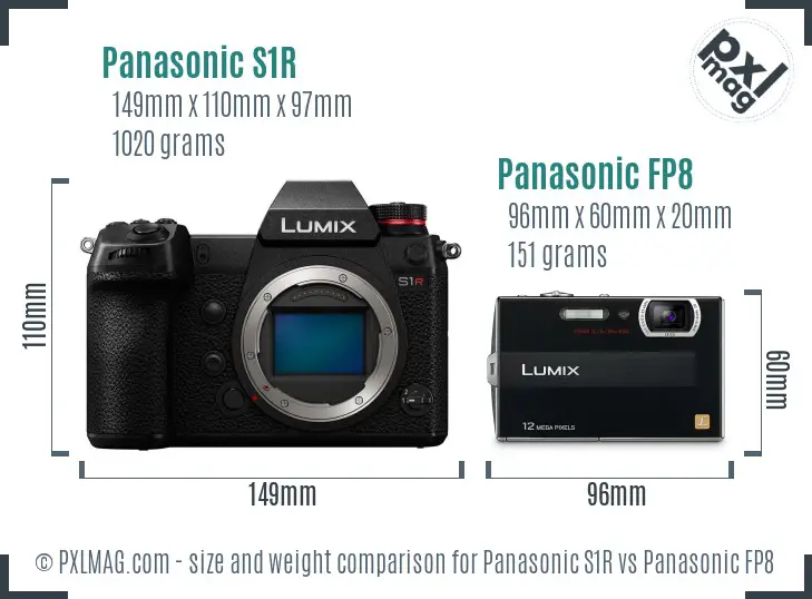 Panasonic S1R vs Panasonic FP8 size comparison