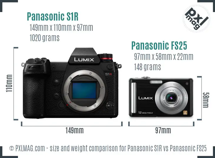 Panasonic S1R vs Panasonic FS25 size comparison
