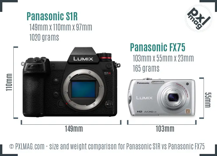 Panasonic S1R vs Panasonic FX75 size comparison