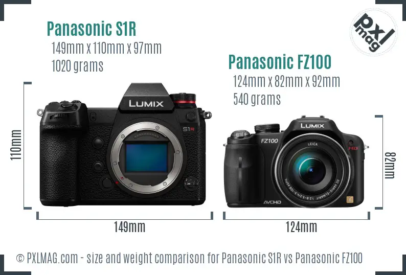 Panasonic S1R vs Panasonic FZ100 size comparison