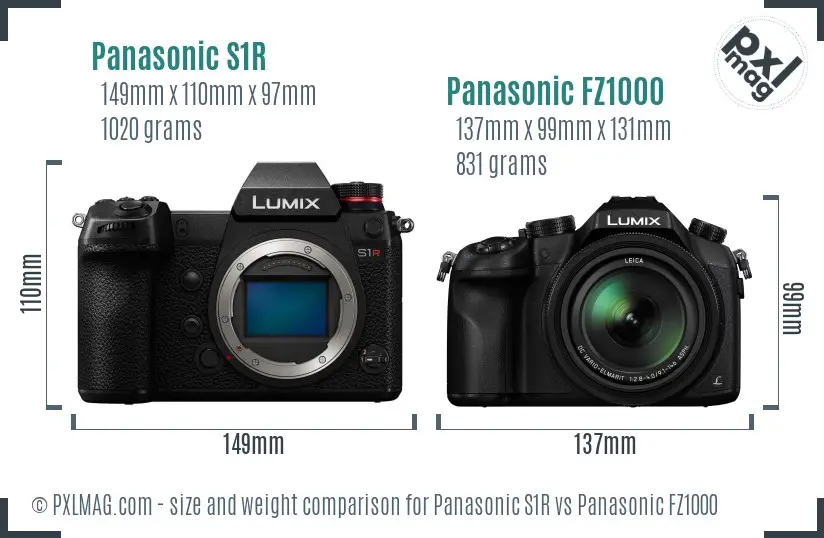 Panasonic S1R vs Panasonic FZ1000 size comparison