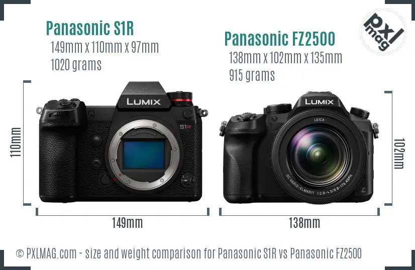 Panasonic S1R vs Panasonic FZ2500 size comparison