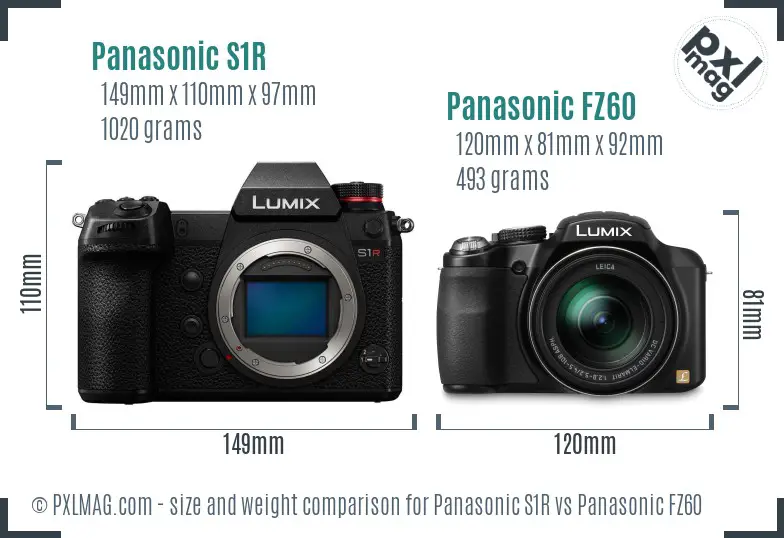 Panasonic S1R vs Panasonic FZ60 size comparison