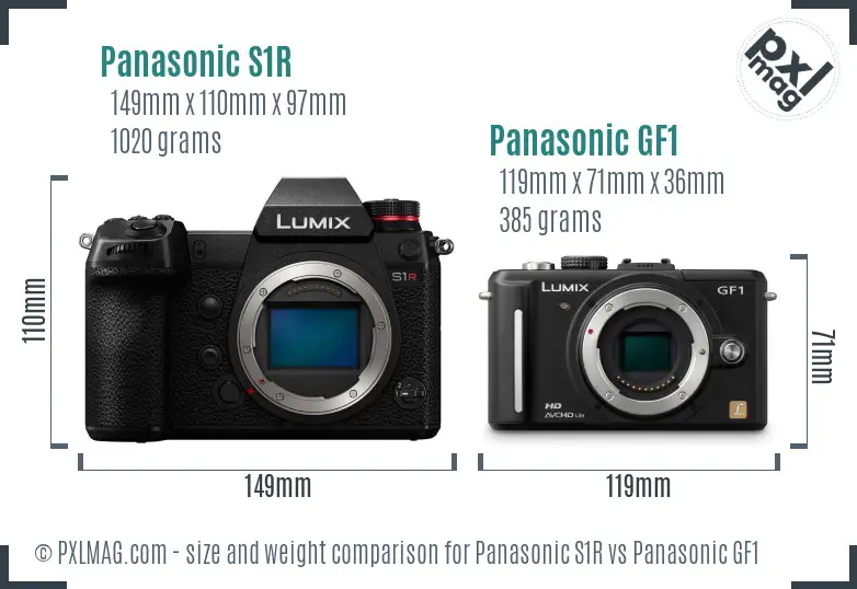 Panasonic S1R vs Panasonic GF1 size comparison