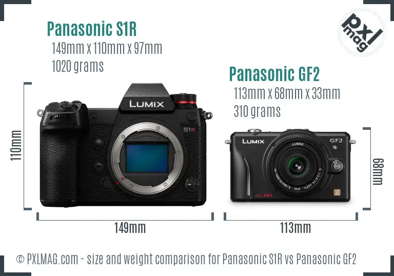 Panasonic S1R vs Panasonic GF2 size comparison