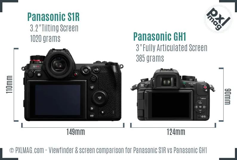 Panasonic S1R vs Panasonic GH1 Screen and Viewfinder comparison