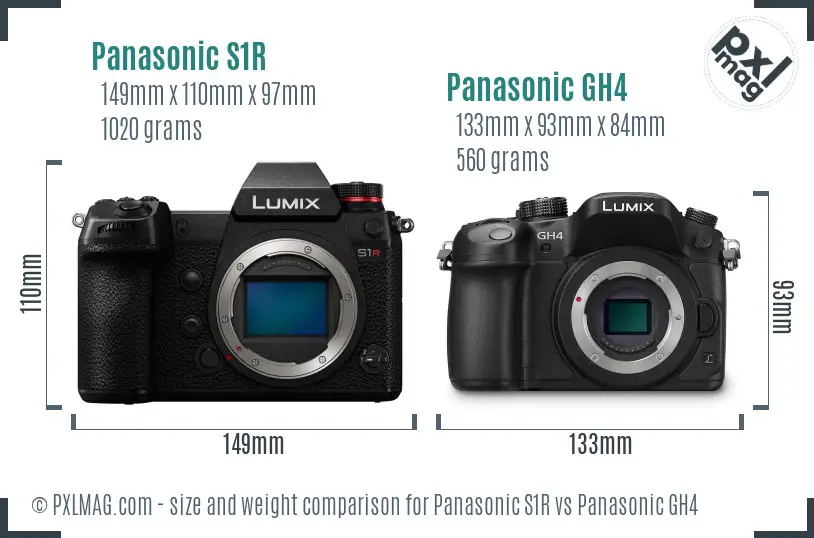 Panasonic S1R vs Panasonic GH4 size comparison