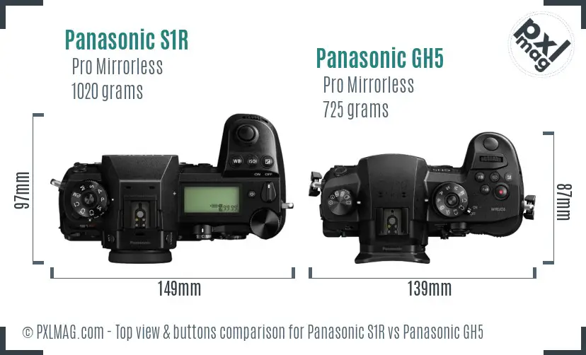 Panasonic S1R vs Panasonic GH5 top view buttons comparison