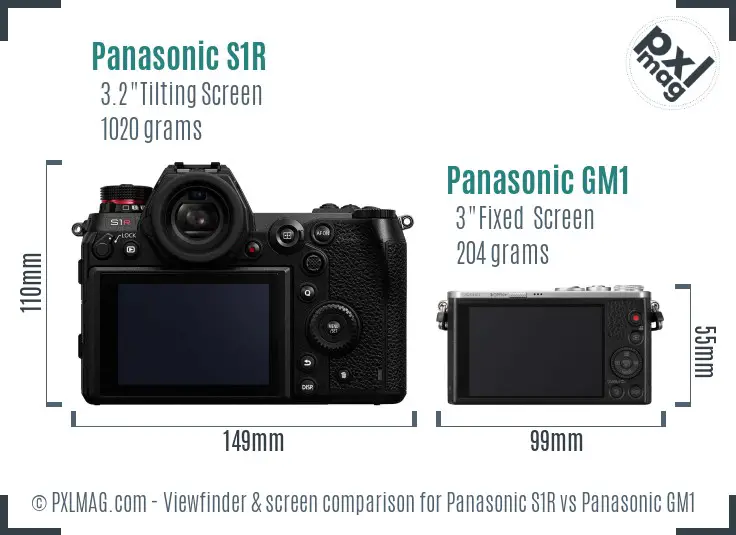 Panasonic S1R vs Panasonic GM1 Screen and Viewfinder comparison