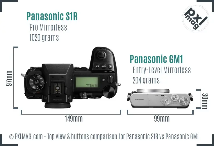 Panasonic S1R vs Panasonic GM1 top view buttons comparison