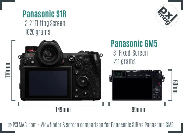 Panasonic S1R vs Panasonic GM5 Screen and Viewfinder comparison