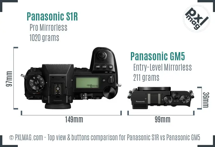 Panasonic S1R vs Panasonic GM5 top view buttons comparison