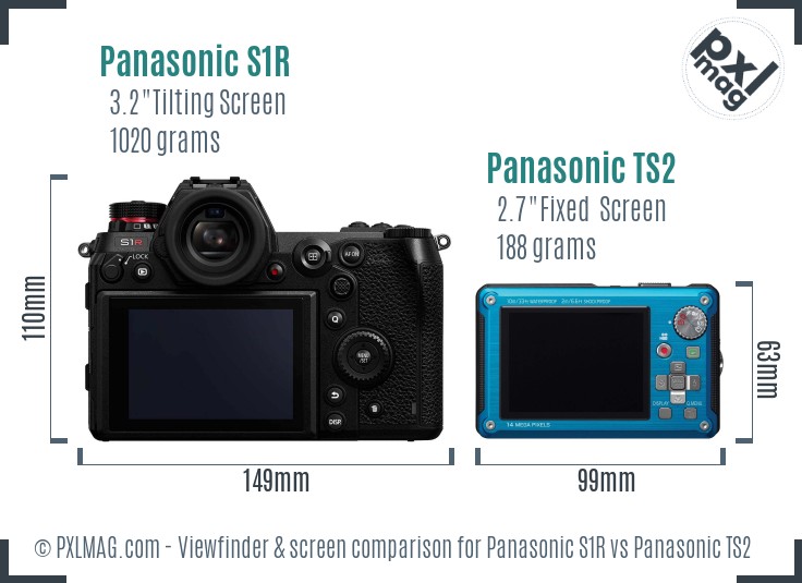 Panasonic S1R vs Panasonic TS2 Screen and Viewfinder comparison