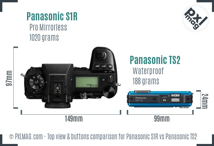 Panasonic S1R vs Panasonic TS2 top view buttons comparison