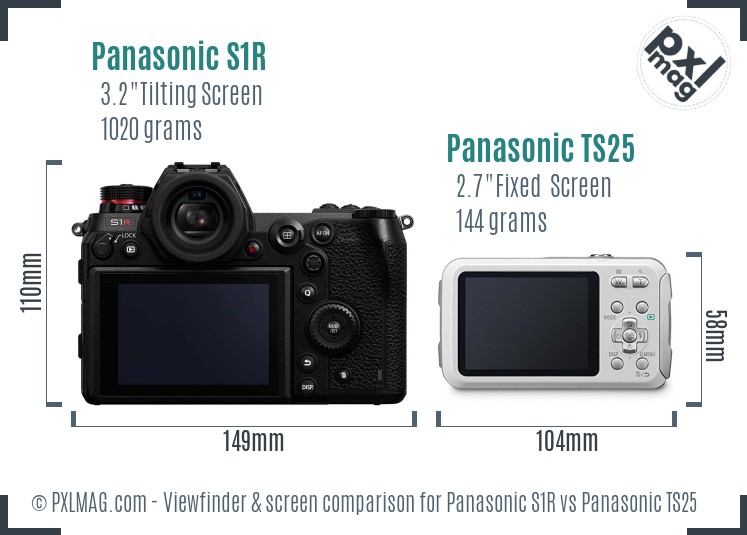 Panasonic S1R vs Panasonic TS25 Screen and Viewfinder comparison