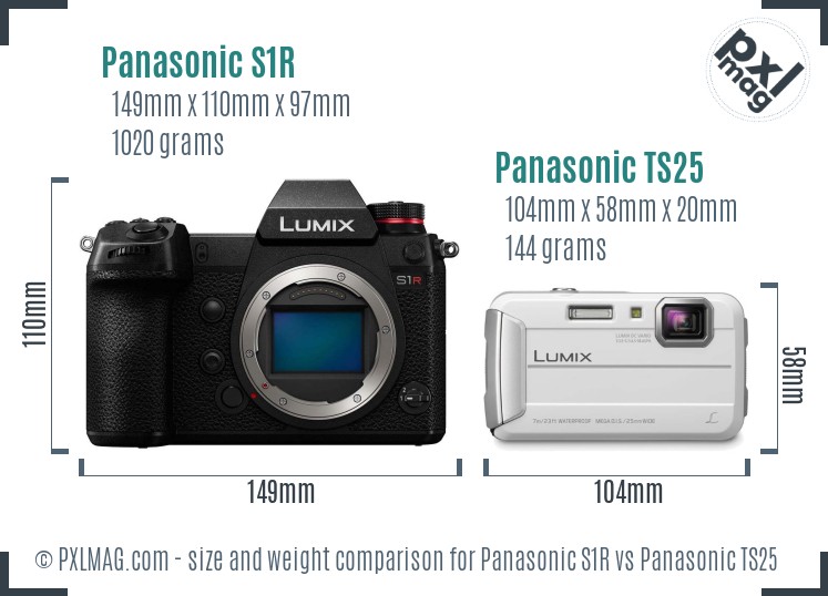 Panasonic S1R vs Panasonic TS25 size comparison