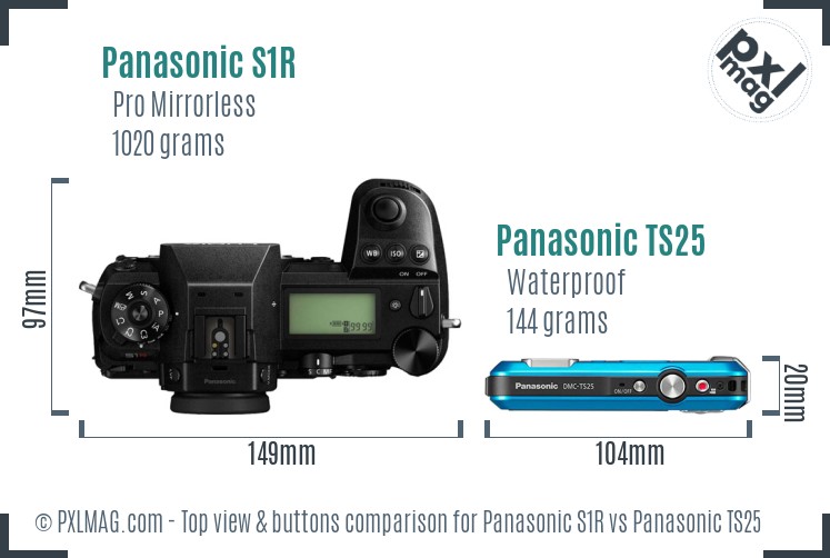 Panasonic S1R vs Panasonic TS25 top view buttons comparison