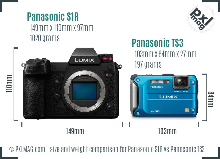 Panasonic S1R vs Panasonic TS3 size comparison