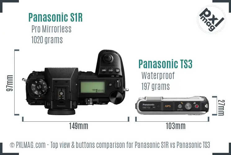 Panasonic S1R vs Panasonic TS3 top view buttons comparison