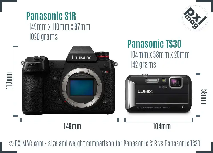 Panasonic S1R vs Panasonic TS30 size comparison