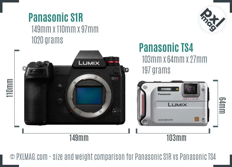 Panasonic S1R vs Panasonic TS4 size comparison