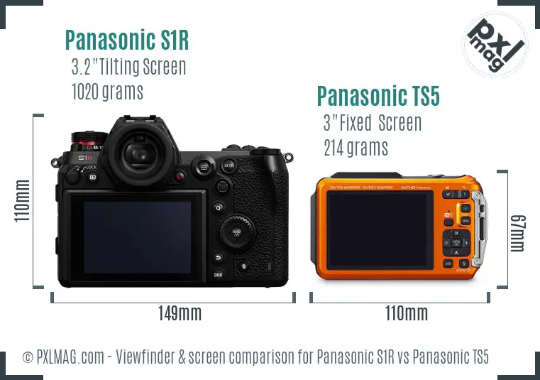 Panasonic S1R vs Panasonic TS5 Screen and Viewfinder comparison
