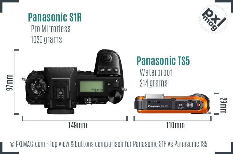 Panasonic S1R vs Panasonic TS5 top view buttons comparison