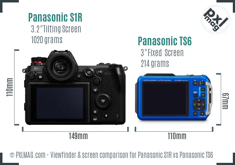 Panasonic S1R vs Panasonic TS6 Screen and Viewfinder comparison