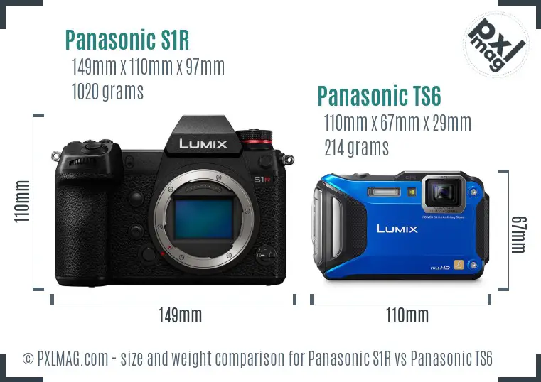 Panasonic S1R vs Panasonic TS6 size comparison
