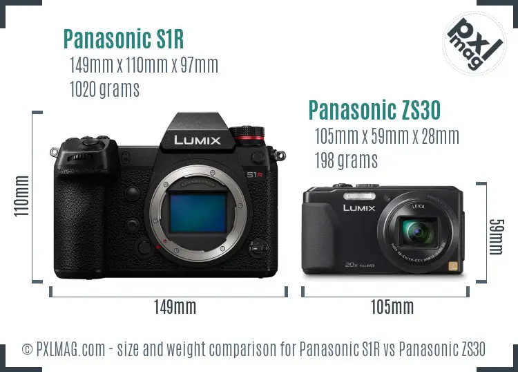 Panasonic S1R vs Panasonic ZS30 size comparison