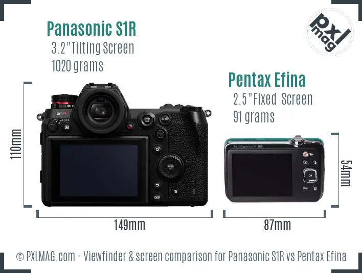 Panasonic S1R vs Pentax Efina Screen and Viewfinder comparison