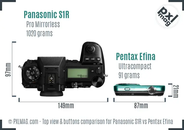 Panasonic S1R vs Pentax Efina top view buttons comparison