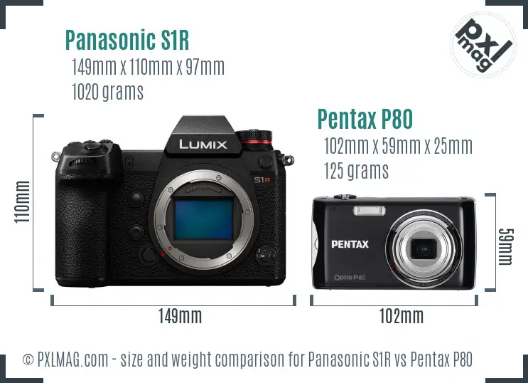Panasonic S1R vs Pentax P80 size comparison