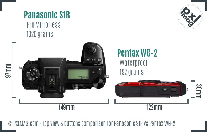 Panasonic S1R vs Pentax WG-2 top view buttons comparison