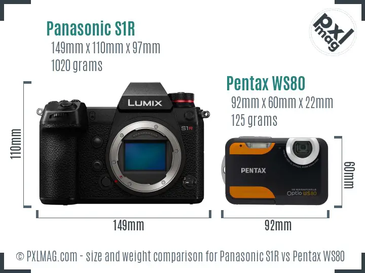 Panasonic S1R vs Pentax WS80 size comparison
