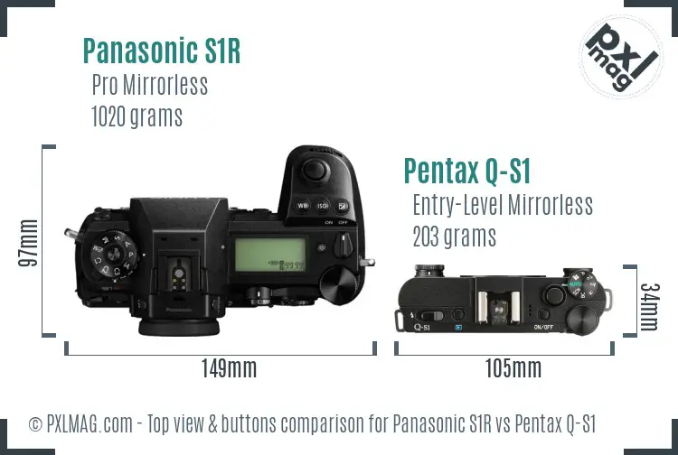Panasonic S1R vs Pentax Q-S1 top view buttons comparison