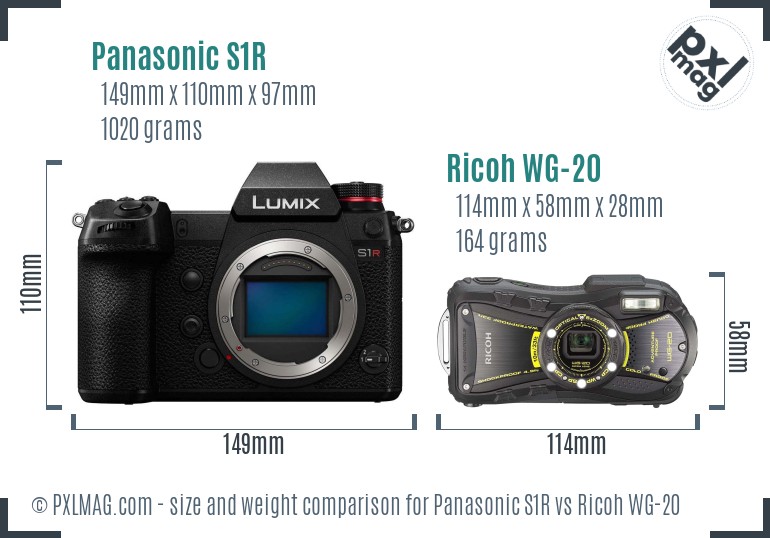 Panasonic S1R vs Ricoh WG-20 size comparison Panasonic S1R vs Ricoh WG-20 size comparison