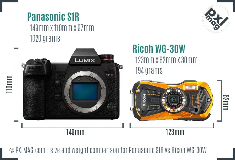 Panasonic S1R vs Ricoh WG-30W size comparison Panasonic S1R vs Ricoh WG-30W size comparison