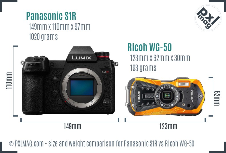 Panasonic S1R vs Ricoh WG-50 size comparison