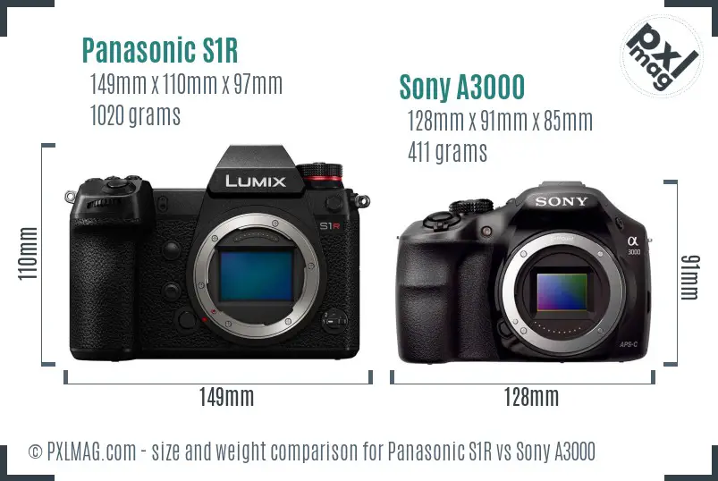 Panasonic S1R vs Sony A3000 size comparison