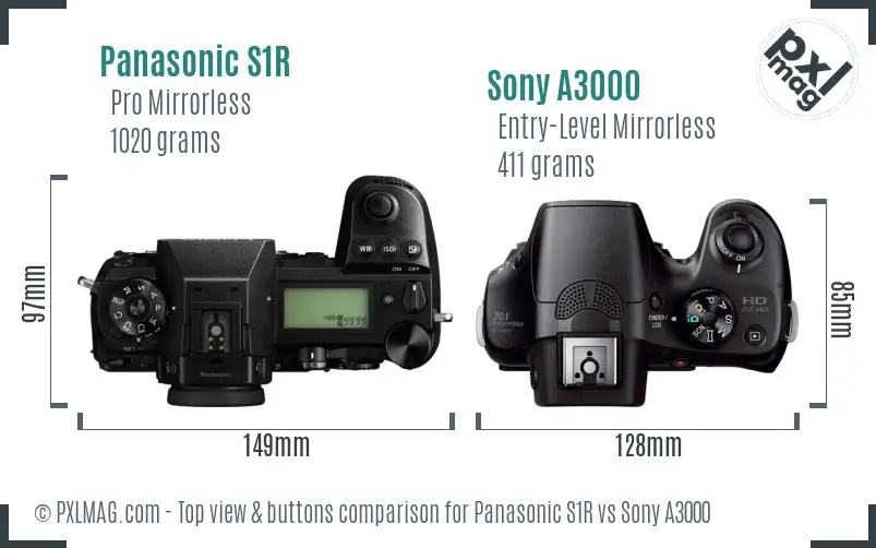 Panasonic S1R vs Sony A3000 top view buttons comparison