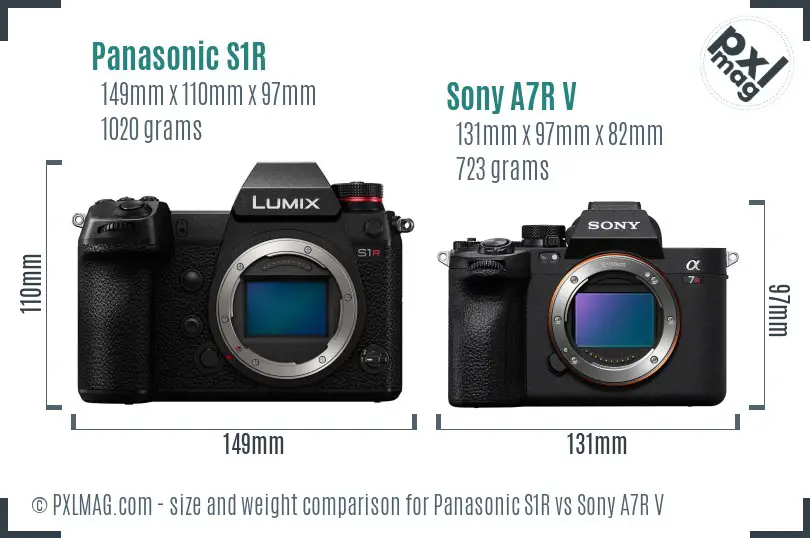 Panasonic S1R vs Sony A7R V size comparison