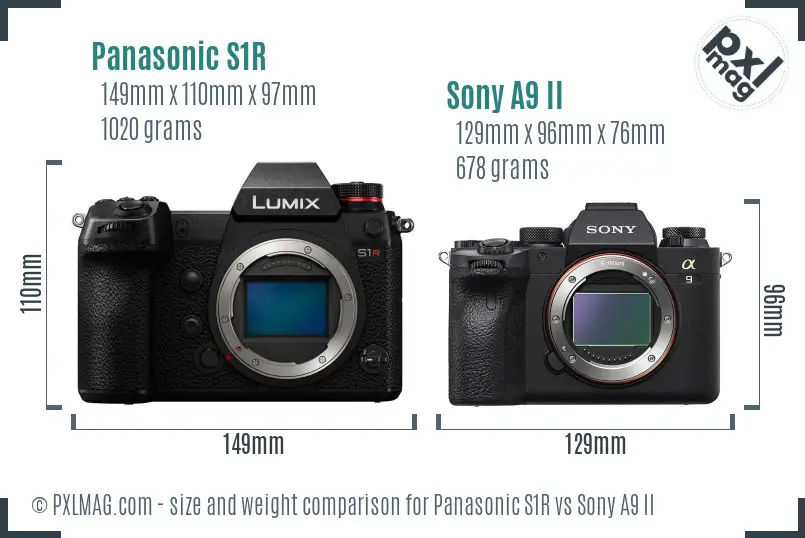 Panasonic S1R vs Sony A9 II size comparison