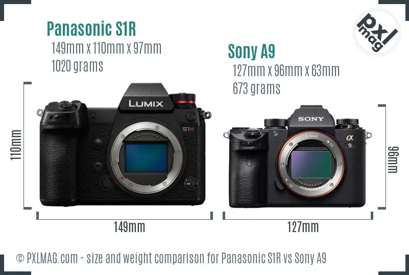 Panasonic S1R vs Sony A9 size comparison