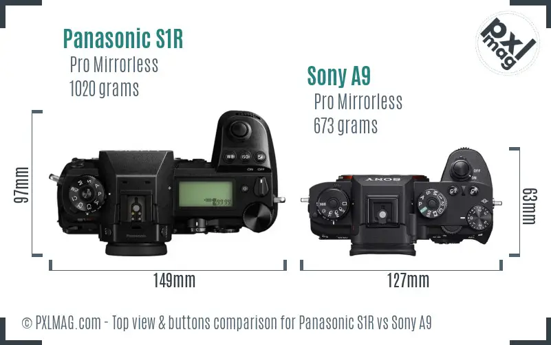 Panasonic S1R vs Sony A9 top view buttons comparison