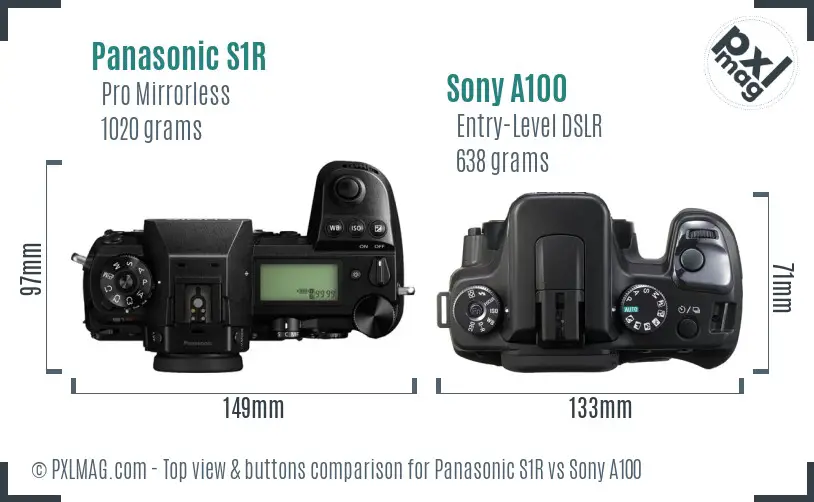 Panasonic S1R vs Sony A100 top view buttons comparison